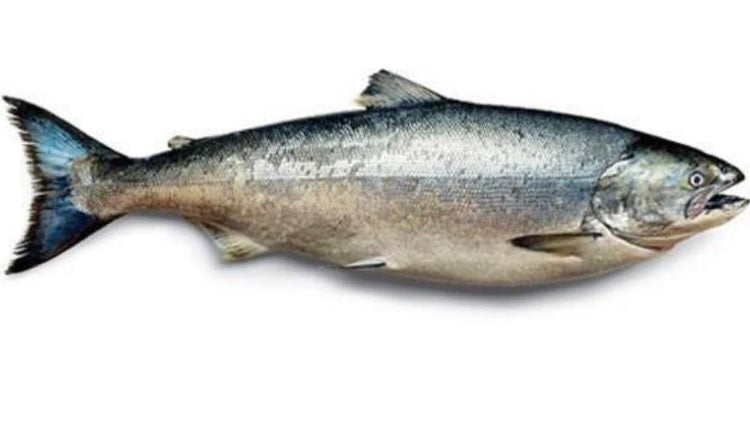 Bouyage Seafood