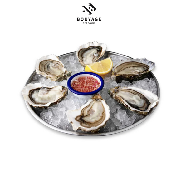 Live French Oysters 4pcs - محار فرنسي حي