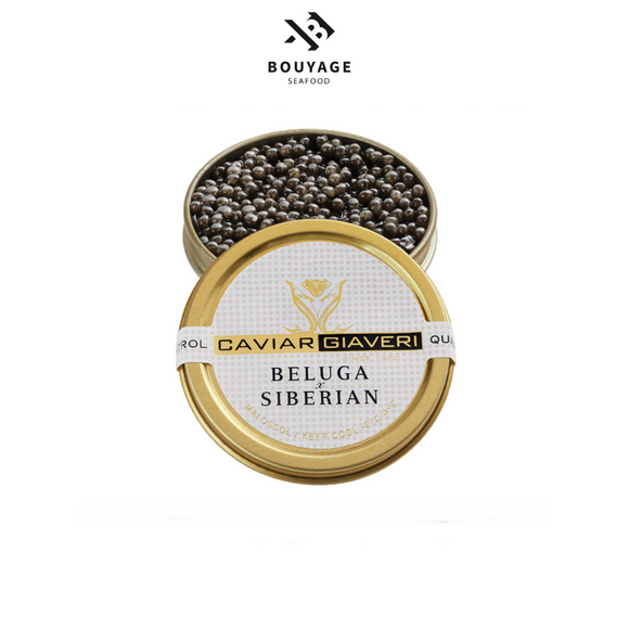 Caviar Giaveri’s Beluga Siberian 30g - كاڤيار بيلوجة سيبيري