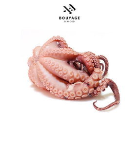 Octopus - اخطبوط كامل منظف