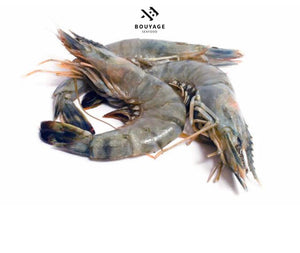 Shrimps (Large) Head on Shell on - جمبري كبير اماراتي
