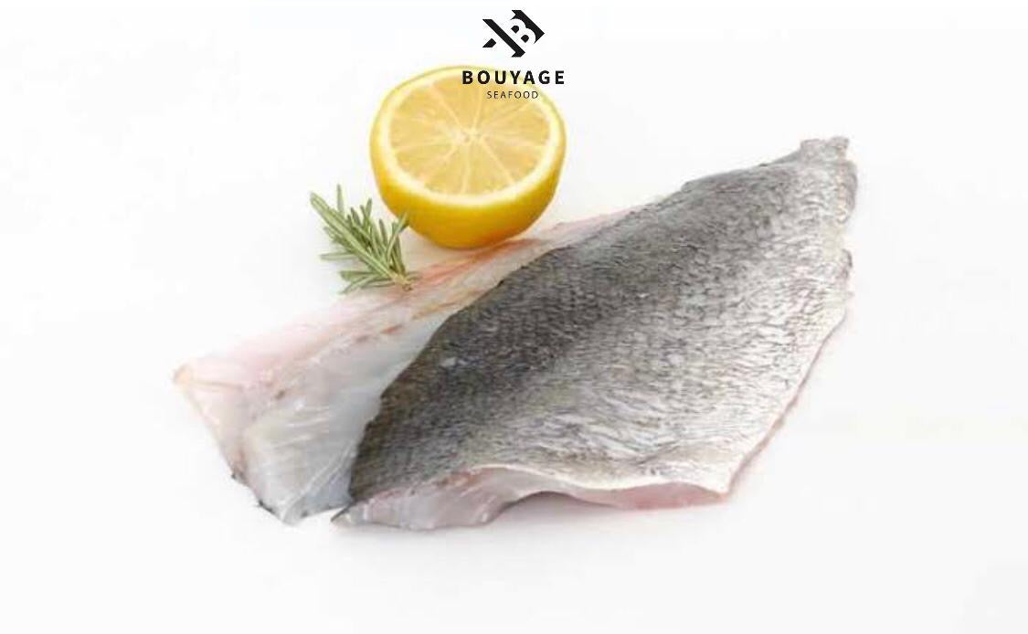 Meagre Fillet - سمك لوت فيليه – Bouyage
