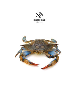 Male Crabs - كابوريا ذكر
