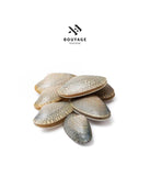 Clams - جندوفلي