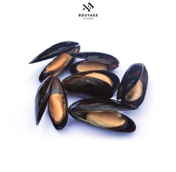 Mussels (Chilean) - بلح بحر تشيلي