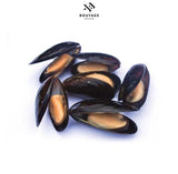 Mussels (Spanish) - بلح بحر اسباني