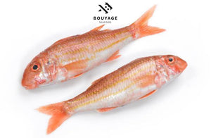 Striped Red Mullet - بربوني منظف